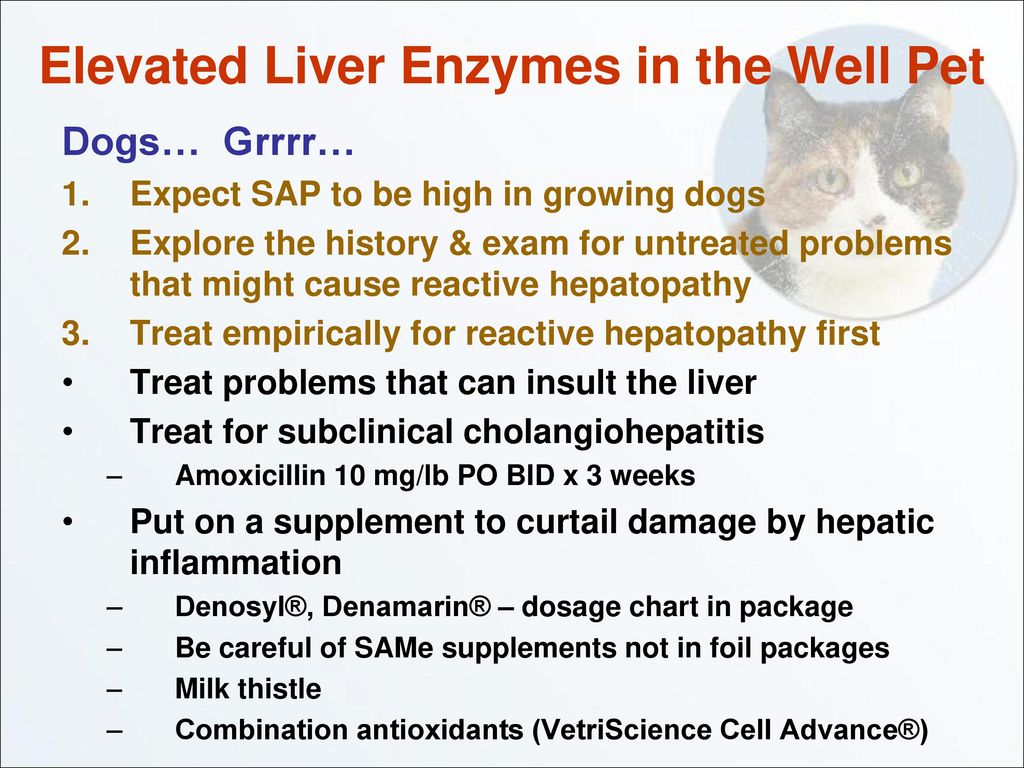 Ativan liver can enzymes elevate